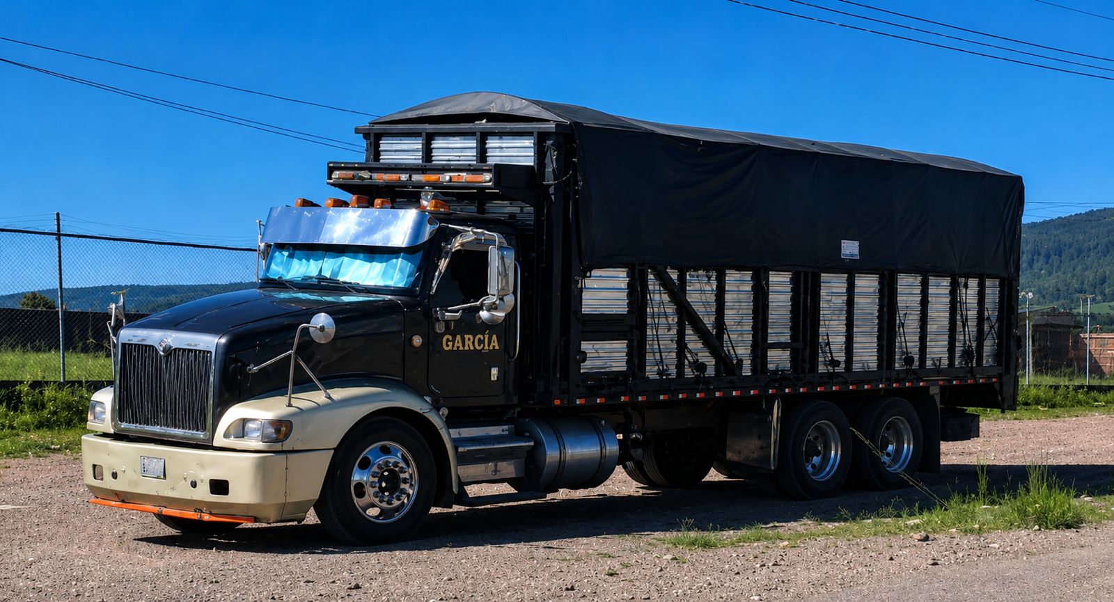 Tortón negro de Transportes García Jiménez